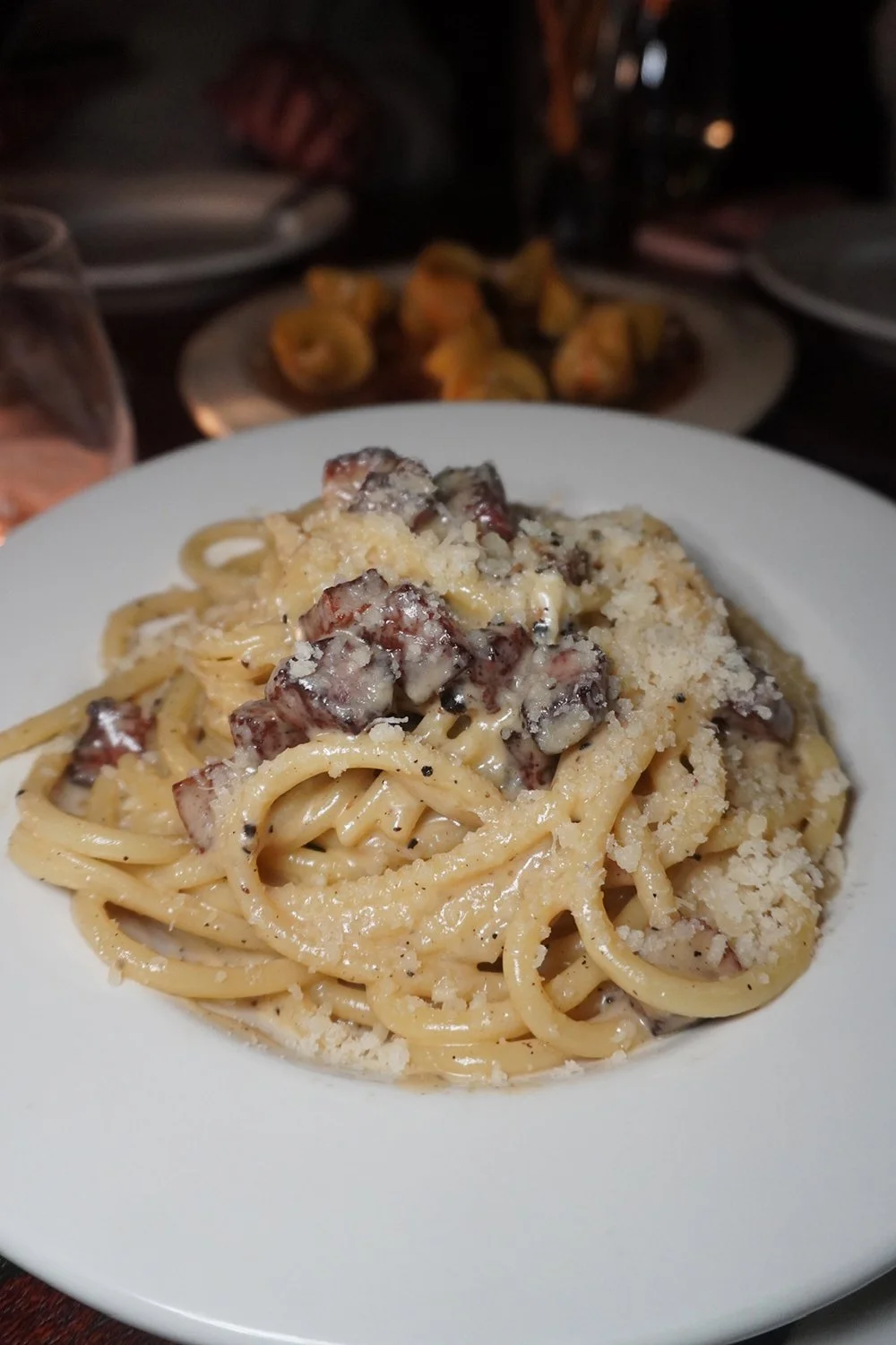 Barbuto