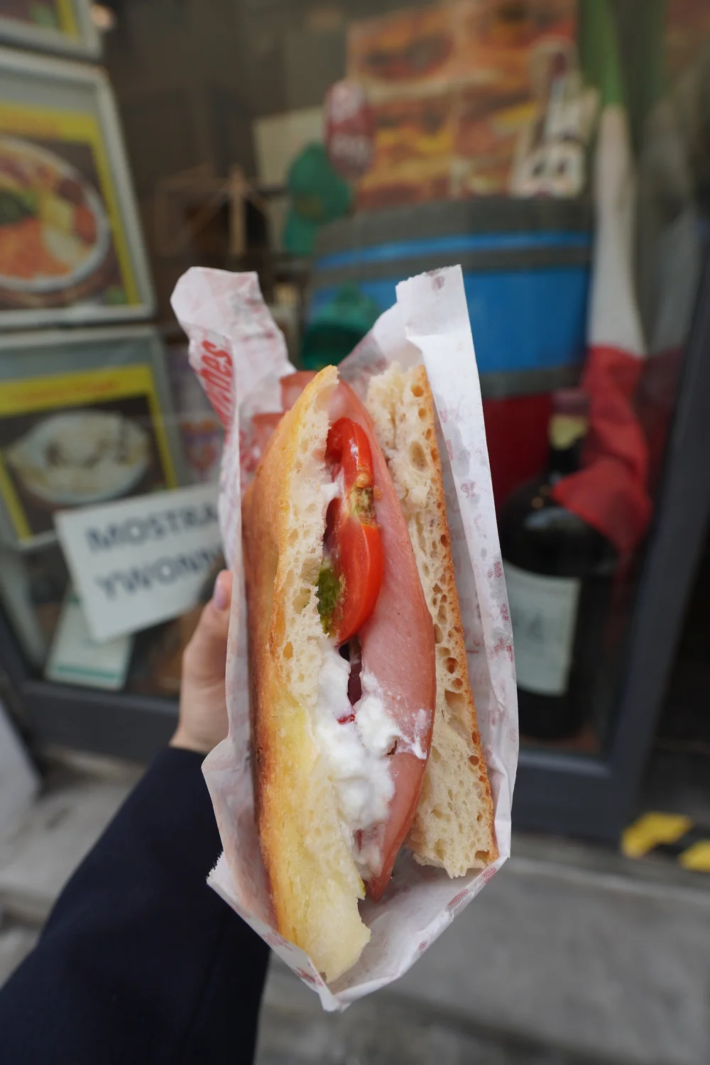 Italy Guide (Rome, Florence, Bologna)