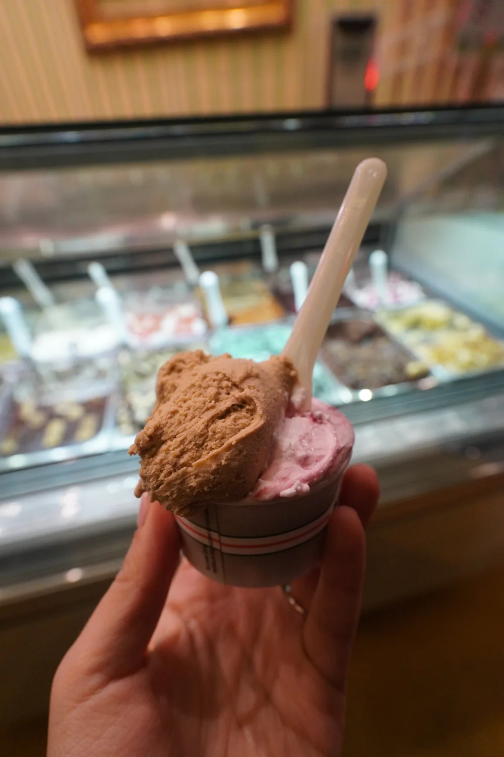 Italy Guide (Rome, Florence, Bologna)