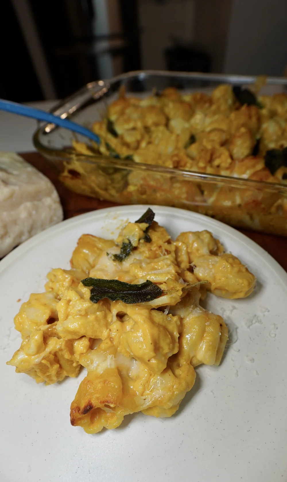 Pumpkin Mac and Cheese