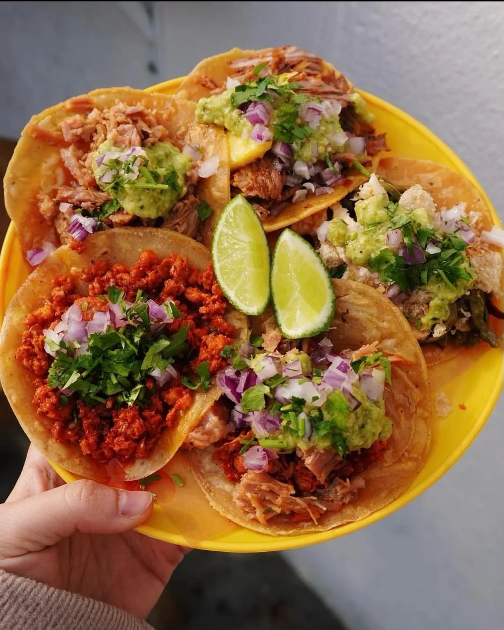 The Rundown of NYC's Taco Scene