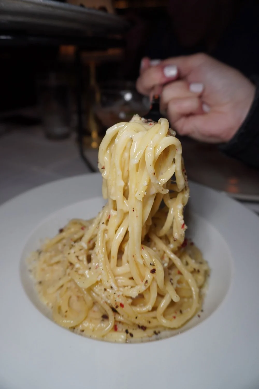 Charleston, SC Eats & Drinks