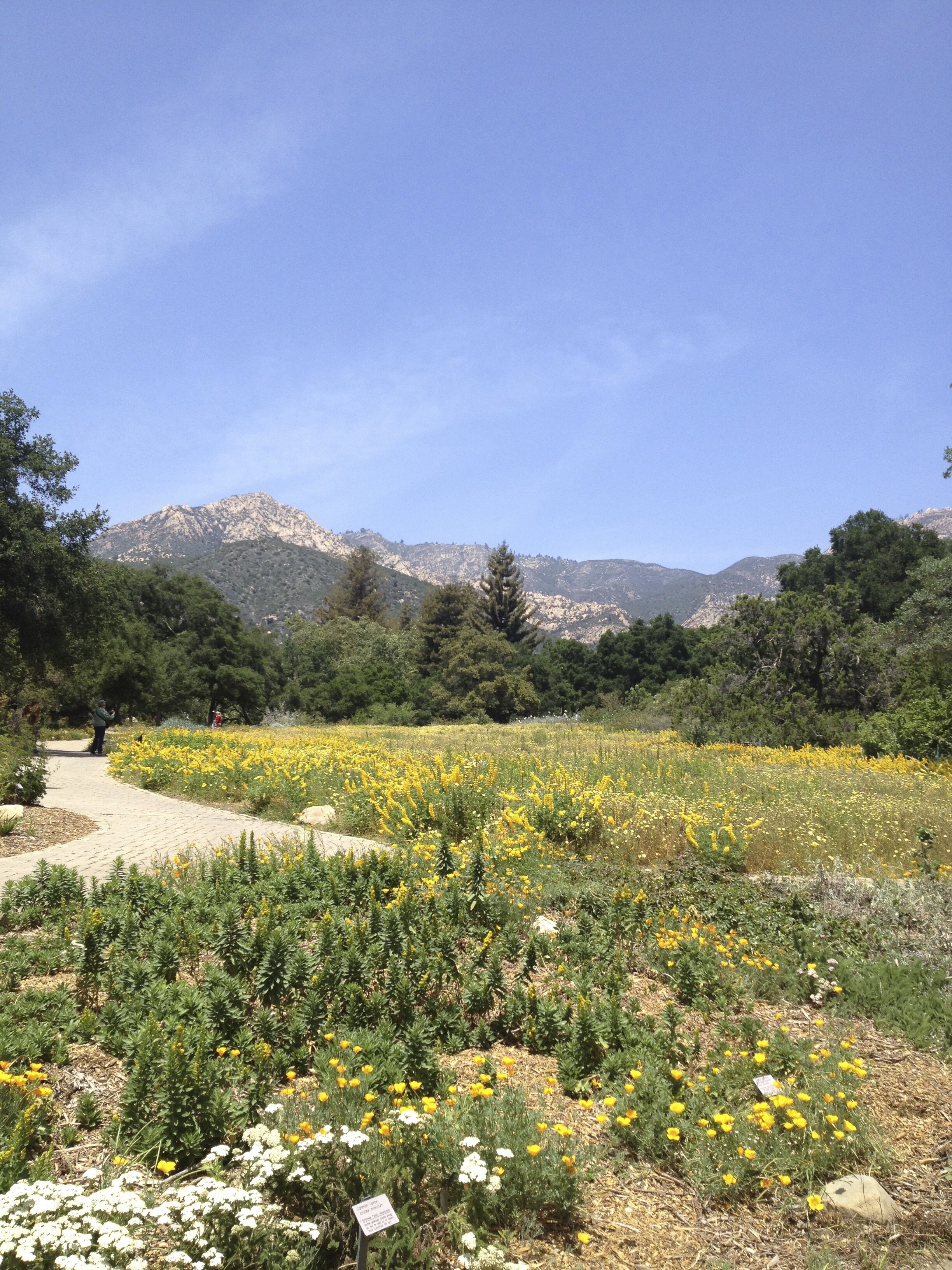 Santa Barbara , CA