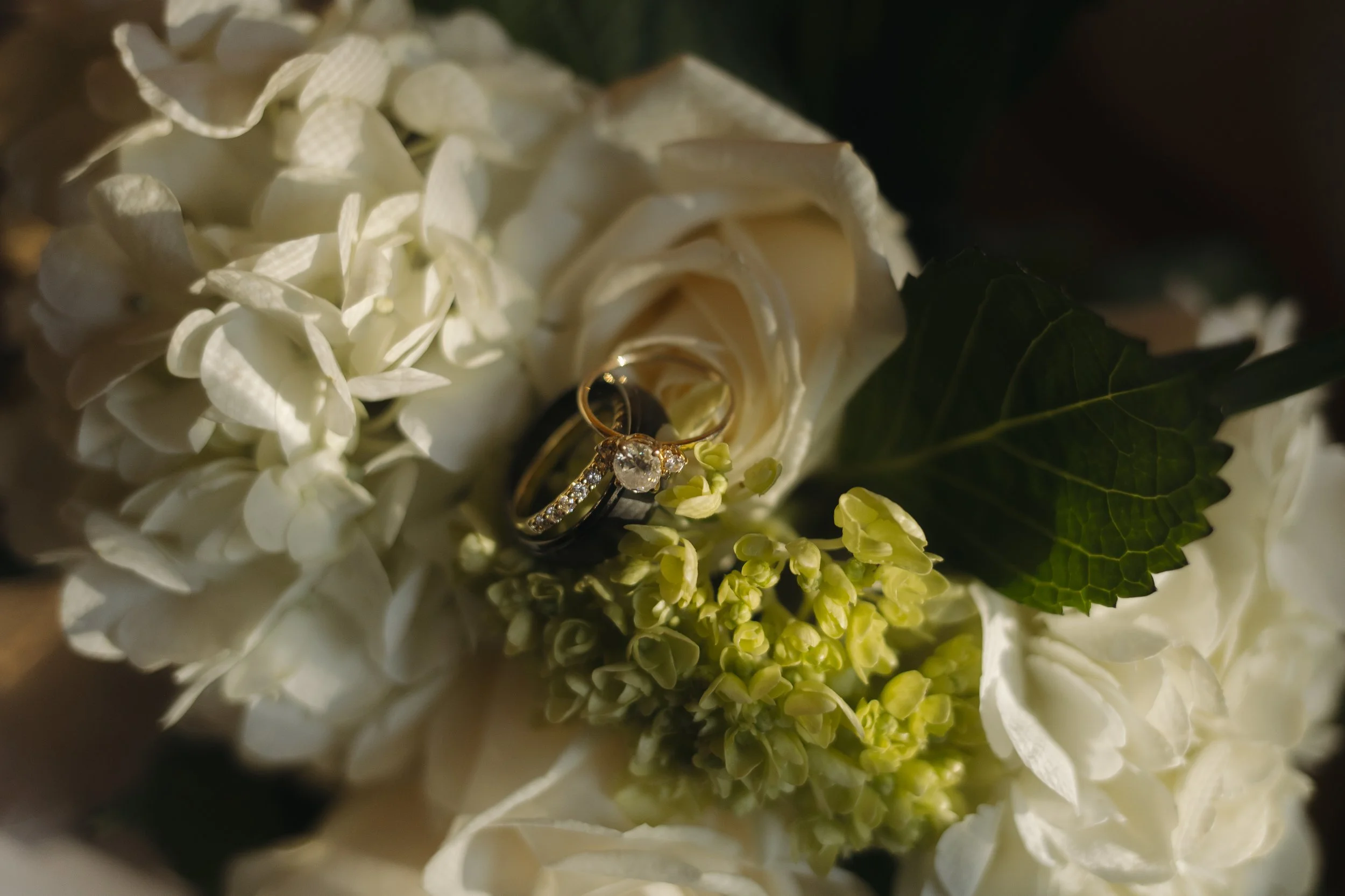Close-up of two wedding rings resting on white and green hydrangea flowers and a white rose.