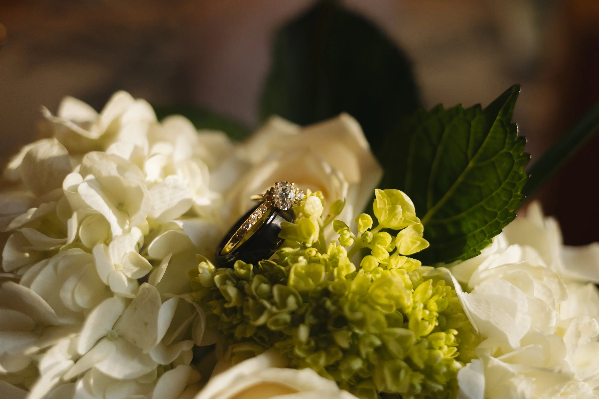 Close-up of wedding rings resting on white and green hydrangea flowers, with a large green leaf in the background.