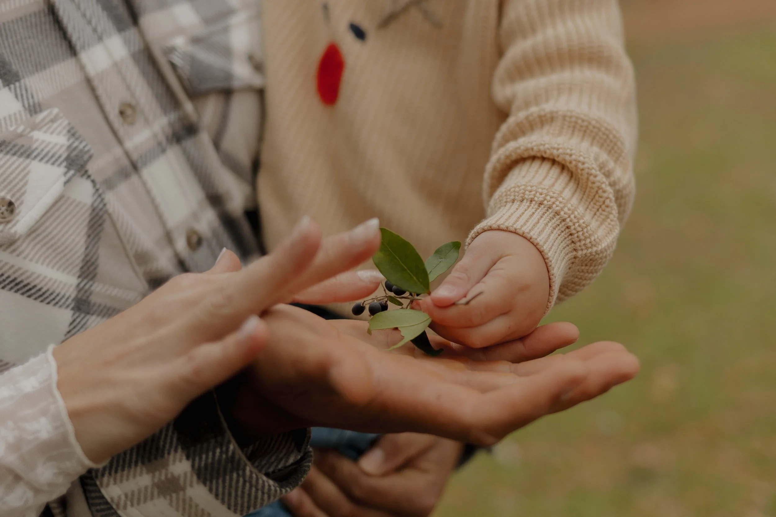 Fuller family-36.jpg