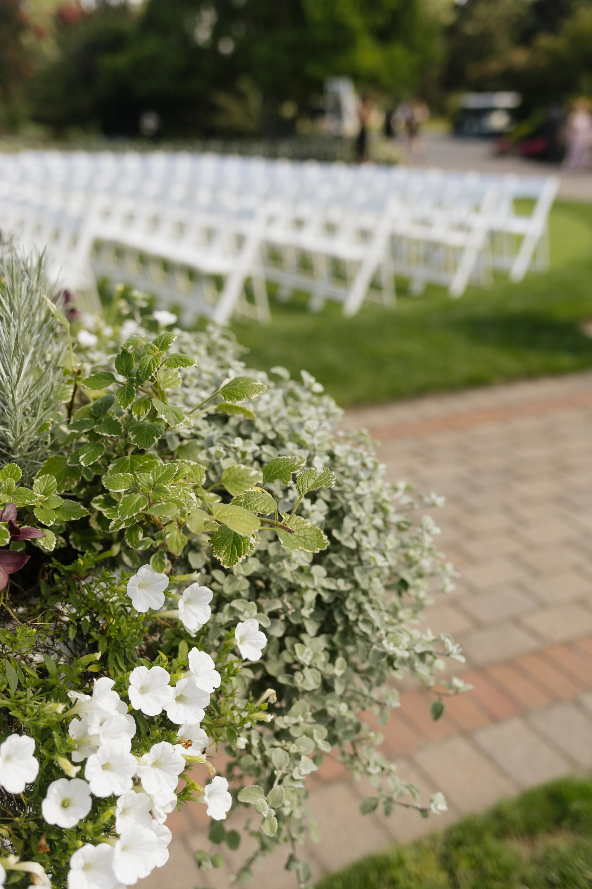 second shoot 4-116.jpg