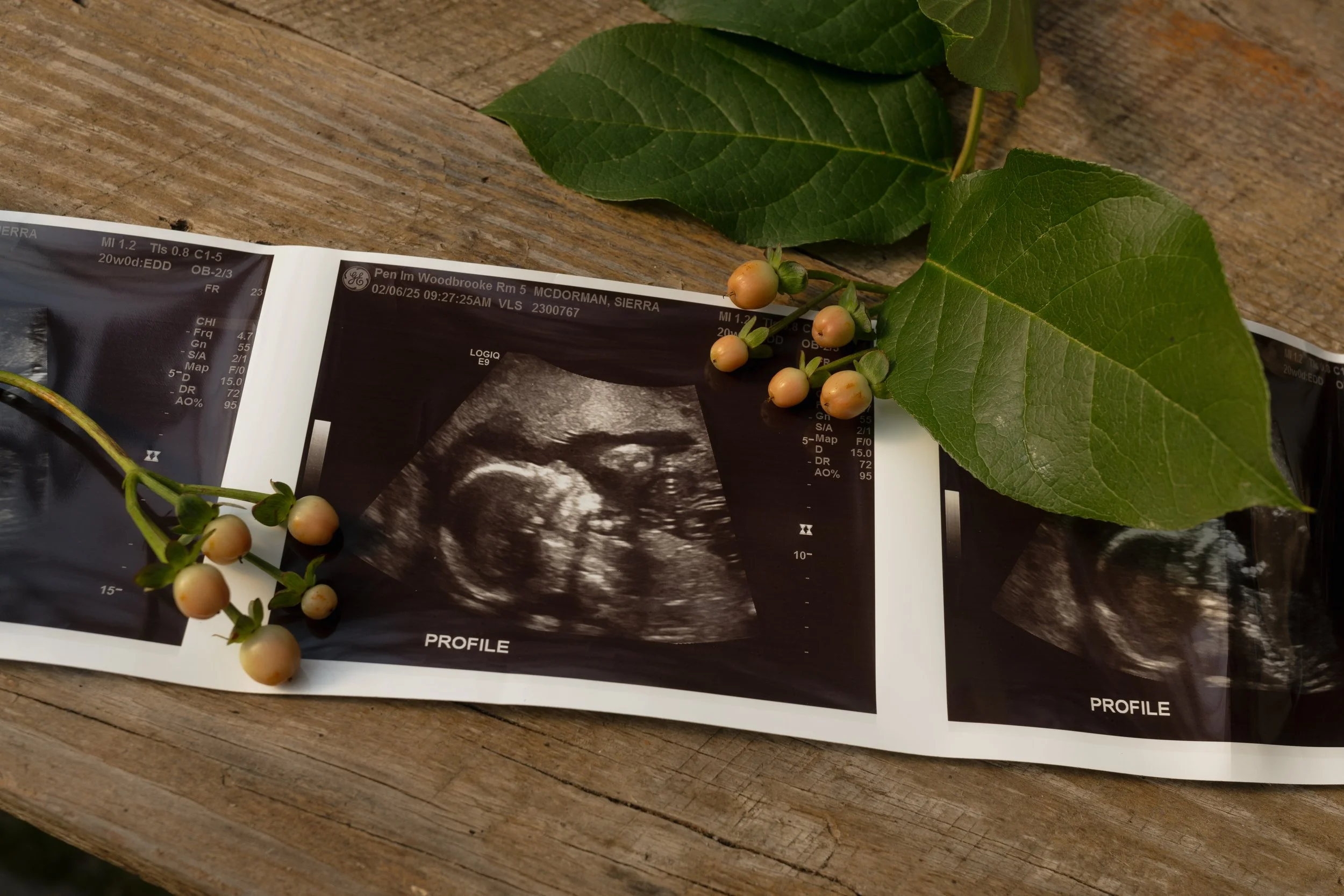 McDorman maternity-54.jpg