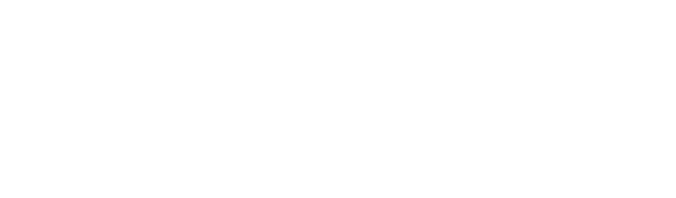 The Matadora