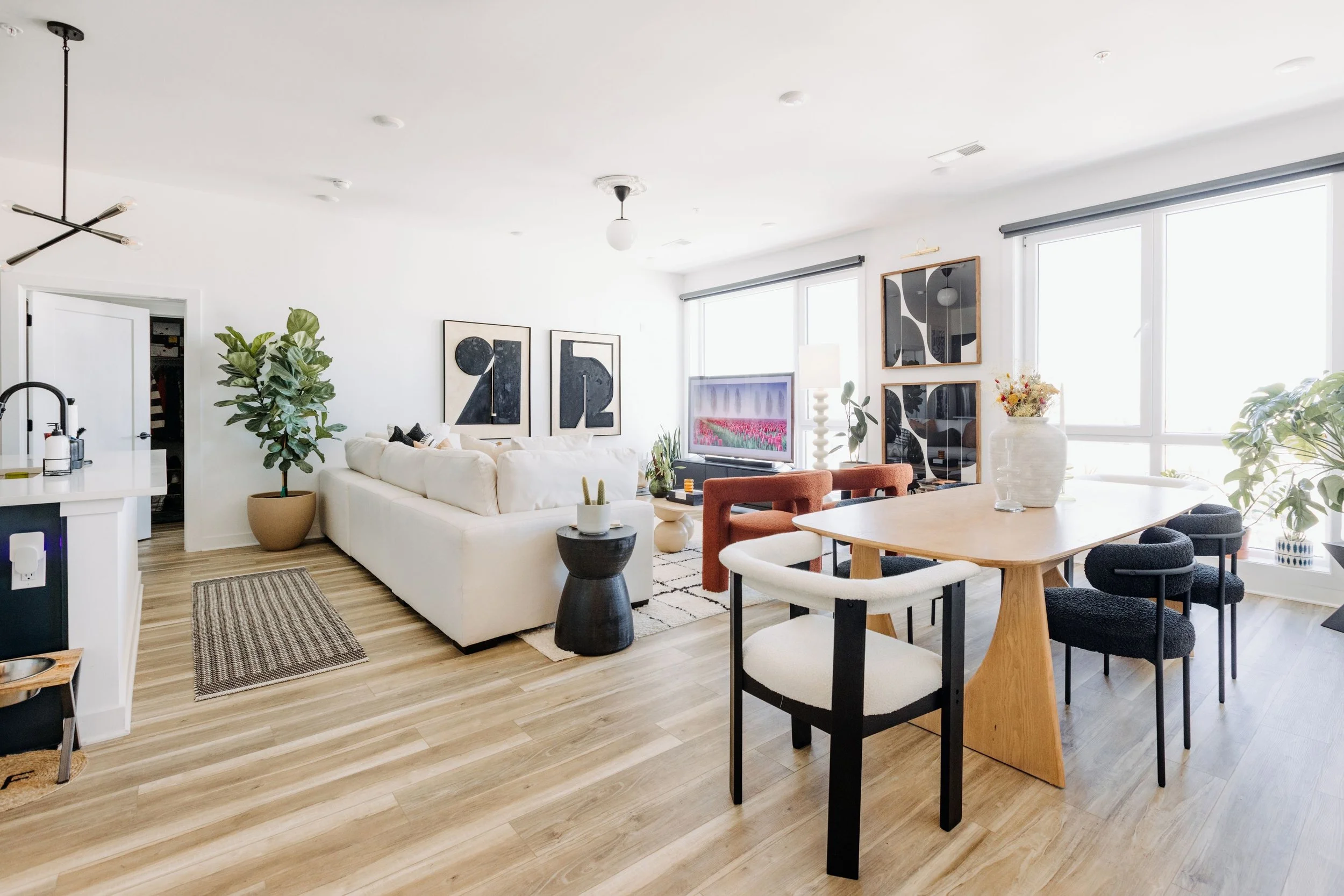 York Place Collection