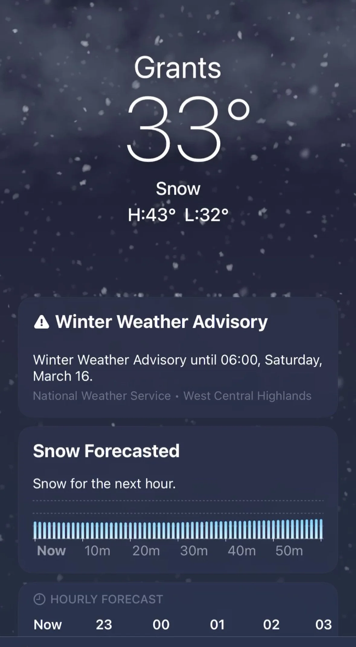 image_6487327 (5).JPG