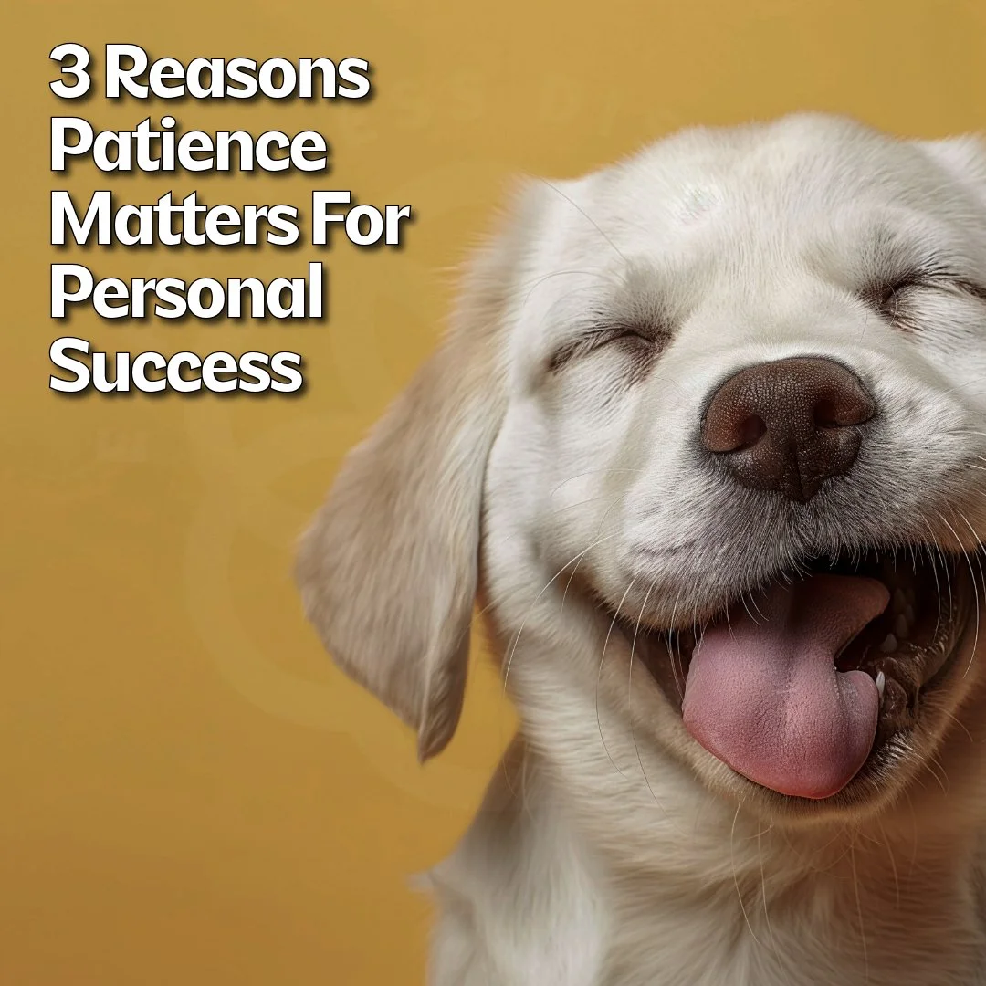 I used to think speed meant success. Faster goals. Faster results. Faster everything, but no matter how fast I moved, life kept reminding me:

&ldquo;You&rsquo;re not built to sprint through everything. You&rsquo;re built to be present in it.&rdquo;
