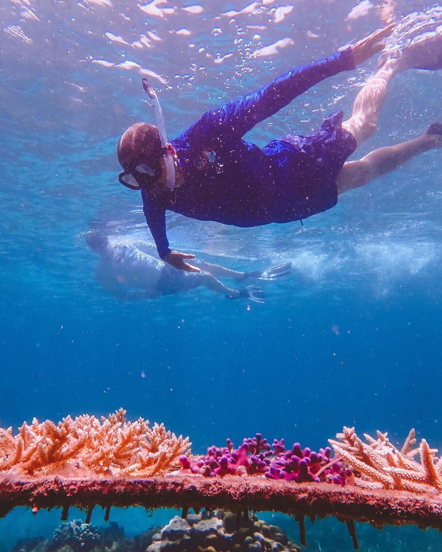 We were honored show Hon. Charles ‘Max’ Fernandez, our Minister of Tourism and his wife, Jill around our Green Island nursery and restoration site last week! Recognizing the importance of healthy #reefs for #Antigua’s tourism indust
