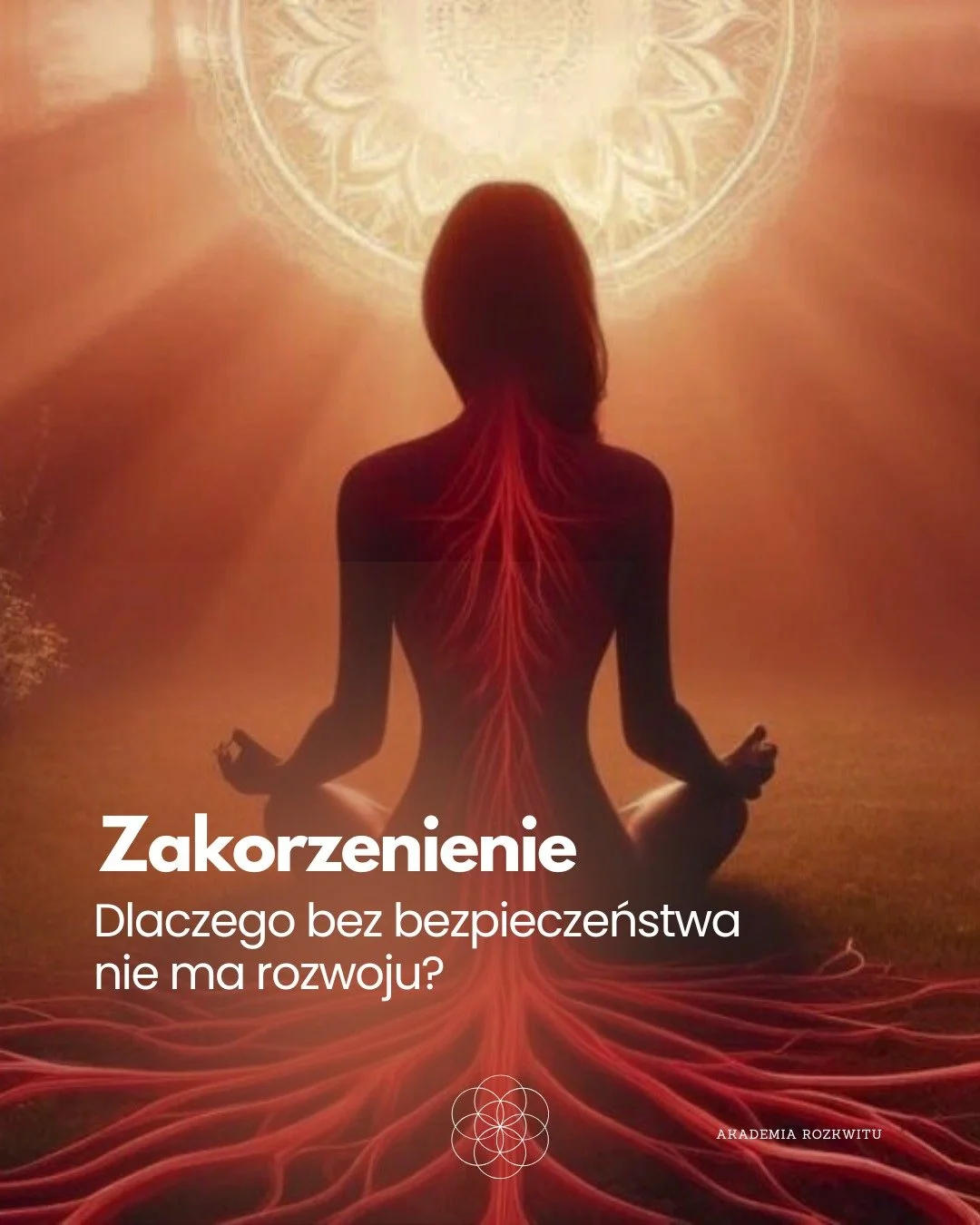 Zanim ruszymy dalej, potrzebujemy się osadzić.
Zanim zaczniemy &bdquo;rozw&oacute;j&rdquo;, potrzebujemy poczuć, że należymy.

Zakorzenienie to pierwszy pr&oacute;g życia.
Bez niego kolejne etapy nie mają na czym się oprzeć.

Ten post jest częścią se