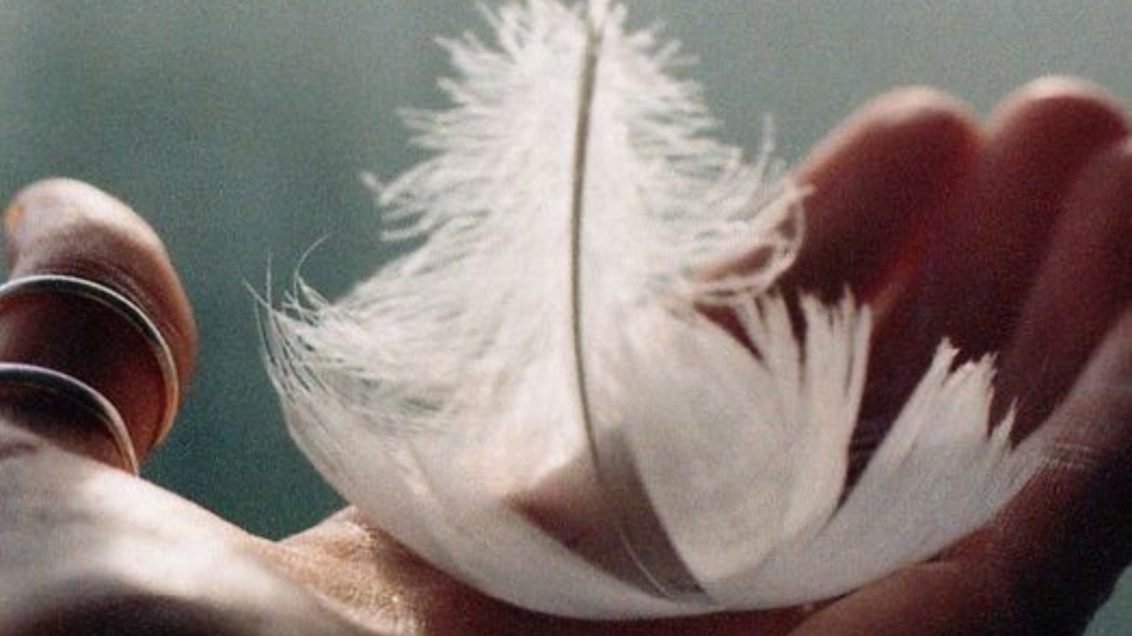 Kiedy słowo staje się aktem transformacji