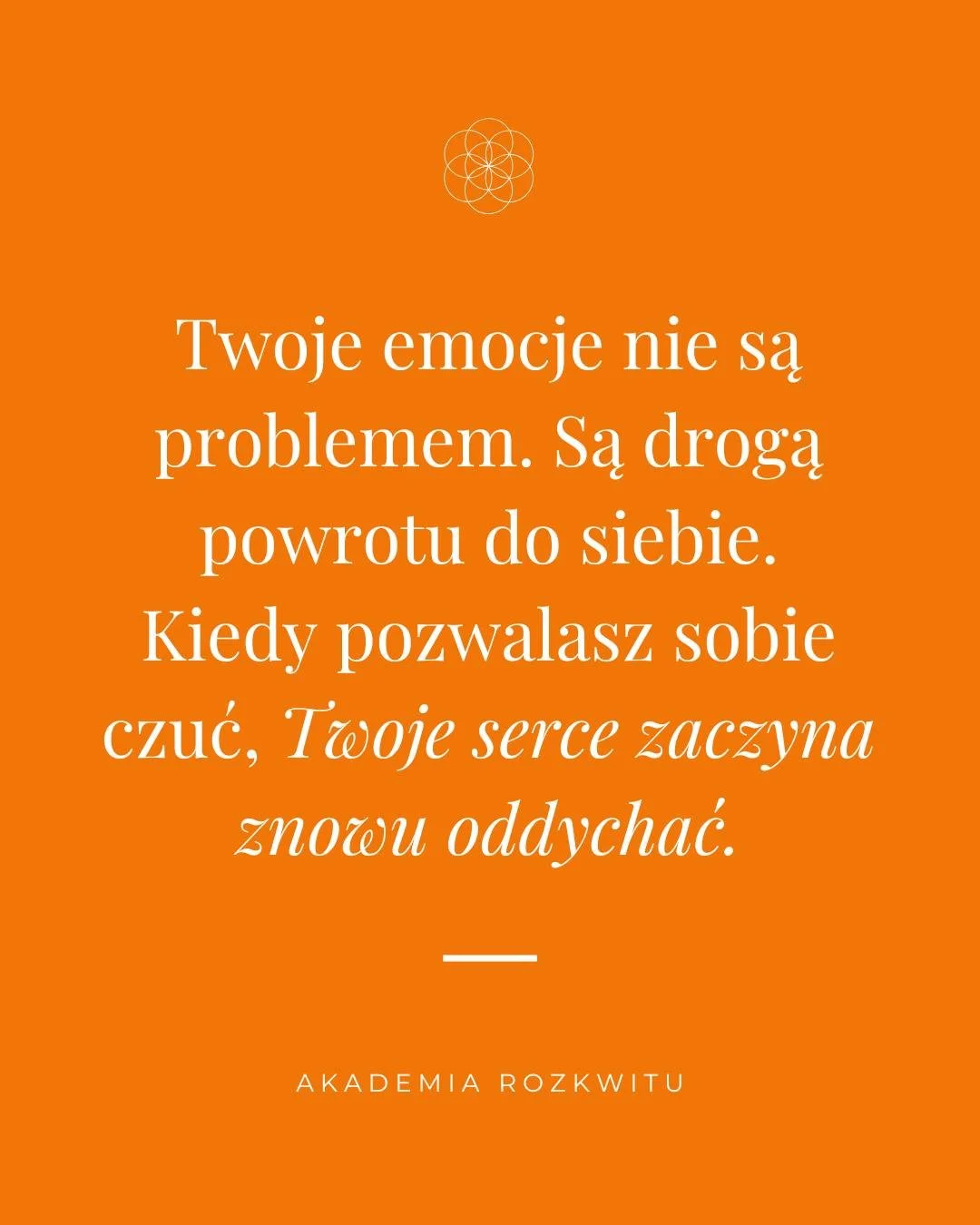 Nie musisz mieć &bdquo;ogarniętych&rdquo; emocji, żeby być  kobietą mocy.
Prawdziwa siła zaczyna się wtedy, gdy pozwalasz sobie czuć to, co jest w Tobie.

Bo w emocjach często ukryta jest Twoja prawda.

@akademiarozkwitu

Rozw&oacute;j Świadomości &b