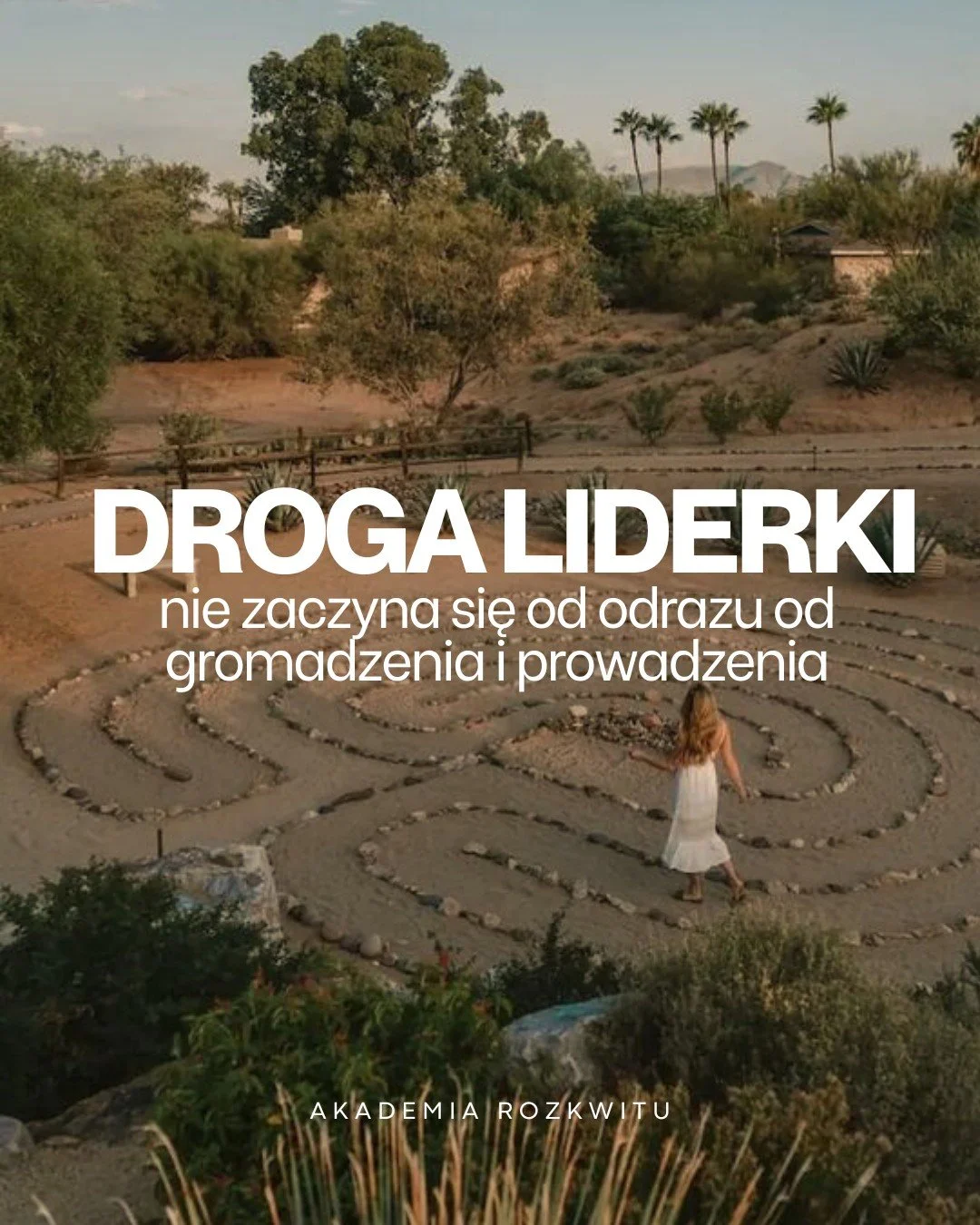 Droga liderki nie zaczyna się od decyzji &bdquo;prowadzę kręgi&rdquo;.
Zaczyna się dużo wcześniej.
Od momentu, w kt&oacute;rym coś w Tobie m&oacute;wi:
&bdquo;chcę więcej&rdquo; &bdquo;chcę inaczej&rdquo; &bdquo;chcę głębiej&rdquo;

I jeśli jesteś w 