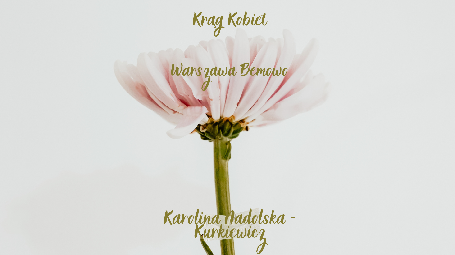 Krąg Kobiet Bemowo