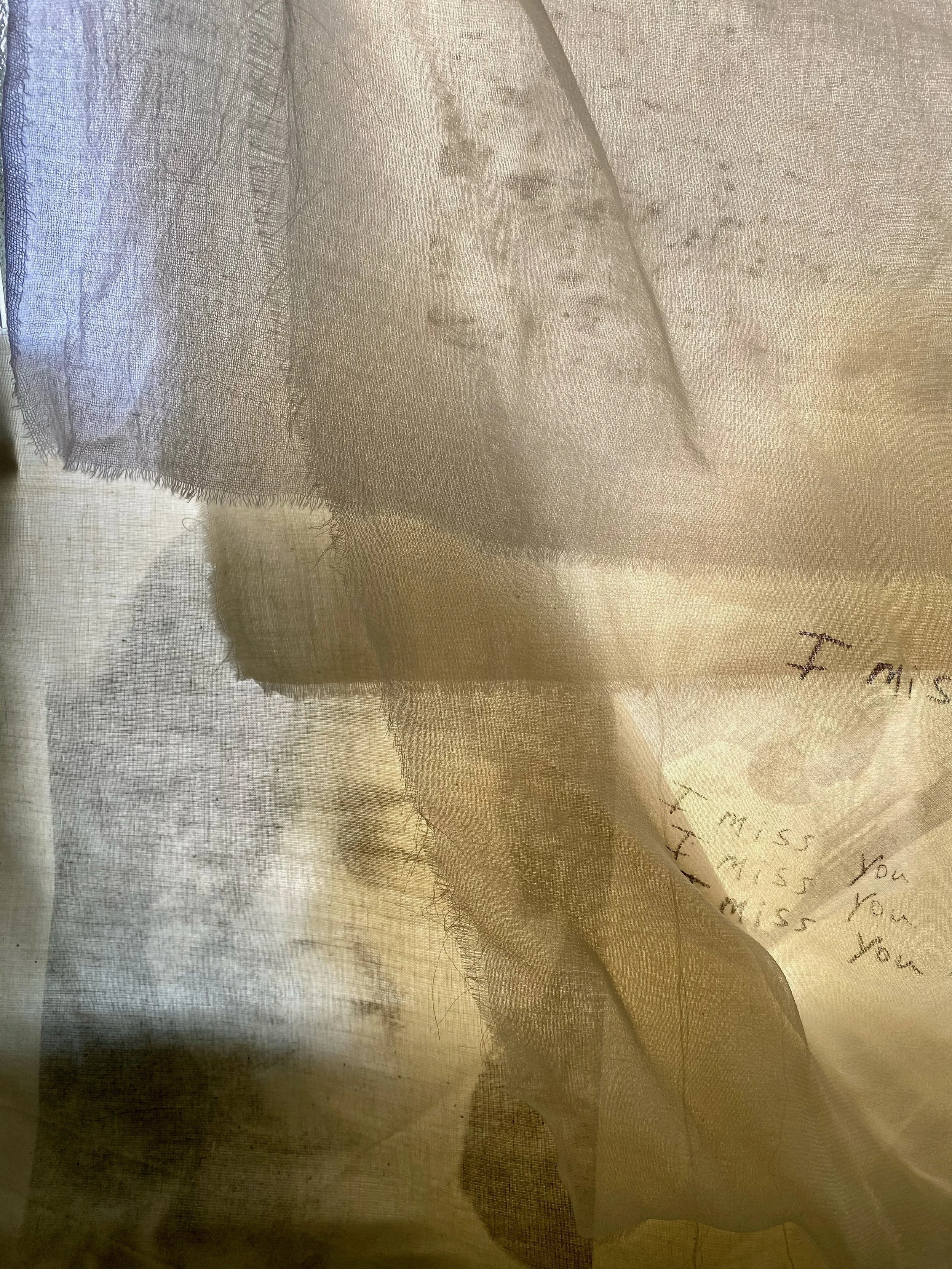  Hung Memories I , 2021, Solvent transfer and silkscreen on sheer fabric, photographic print, 8 x 10  in.