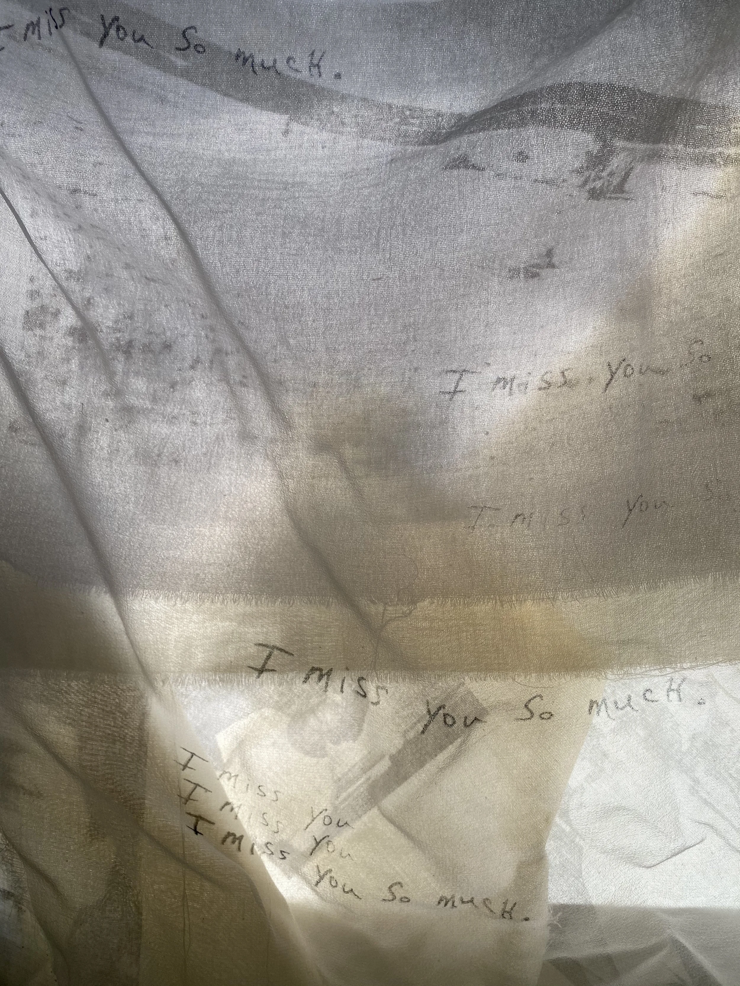  Hung Memories IV , 2021, Solvent transfer and silkscreen on sheer fabric, photographic print, 8 x 10  in.