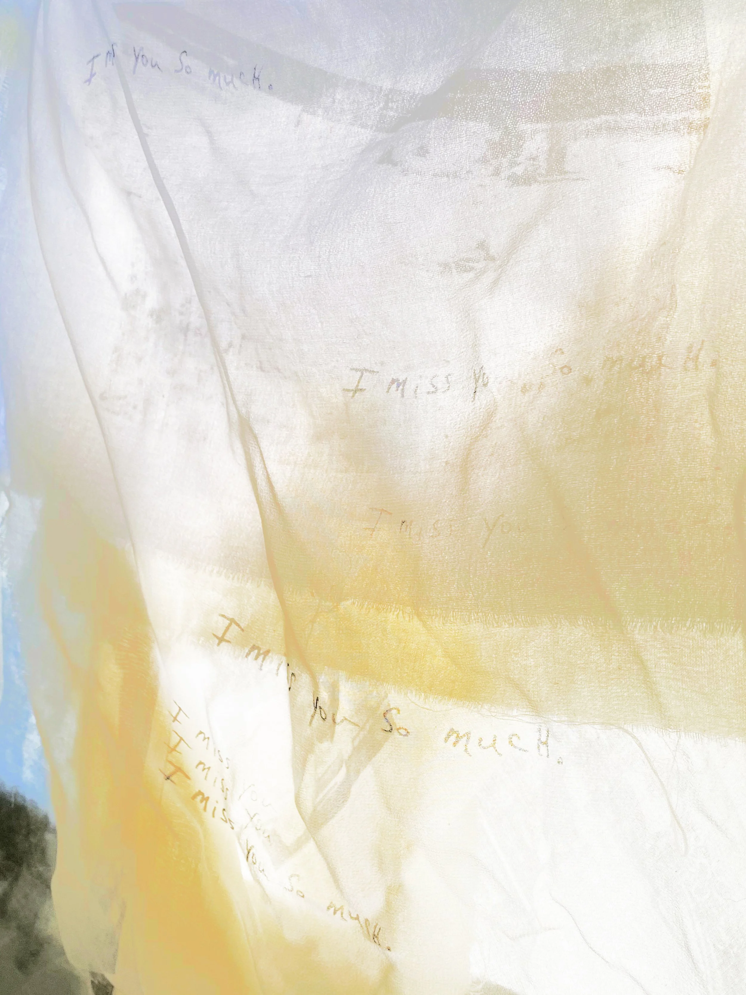  Hung Memories III , 2021, Solvent transfer and silkscreen on sheer fabric, digitally manipulated photographic print, 8 x 10  in.