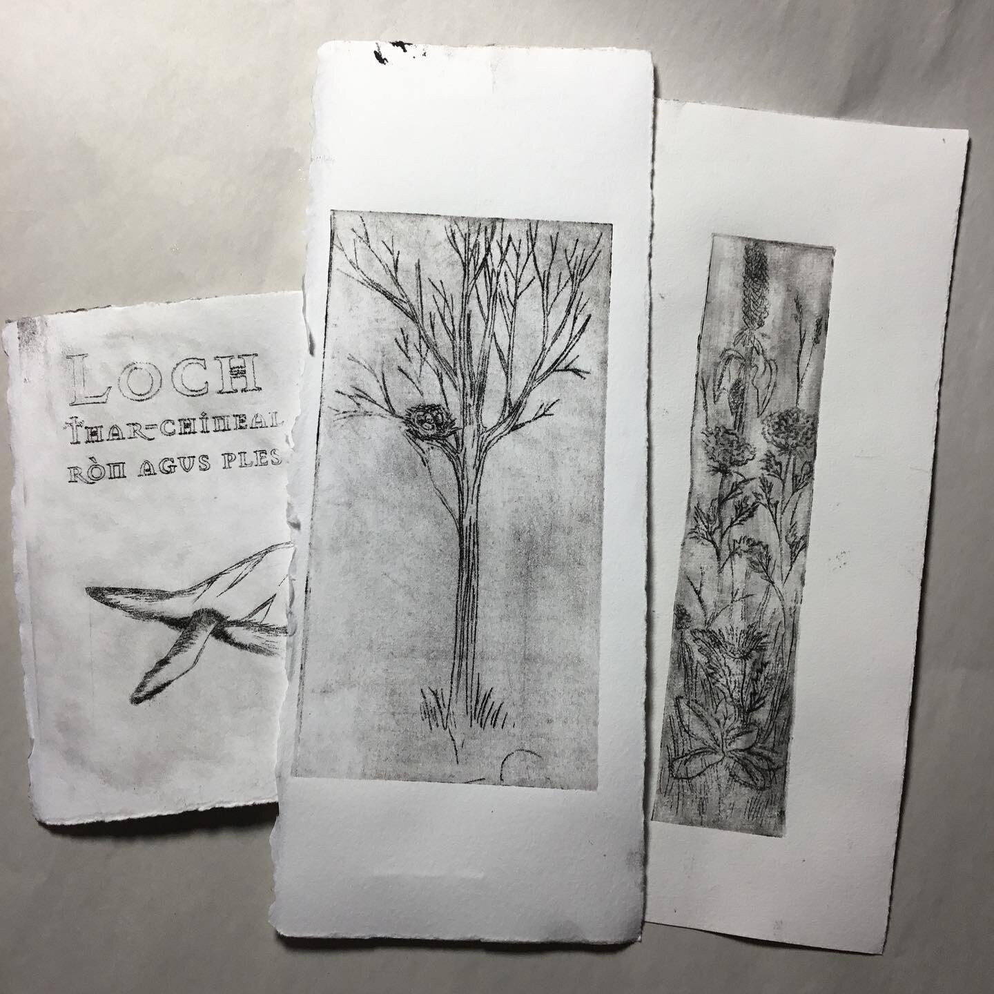 Experiments with drypoint for a class I&rsquo;m teaching. These were on acrylic, Tetrapak, and waxed carton pieces, and rubbed with a spoon- no press. #kiaartschool❤️ #kalamazooinstituteofarts #printmakingwithoutapress #drypointetching