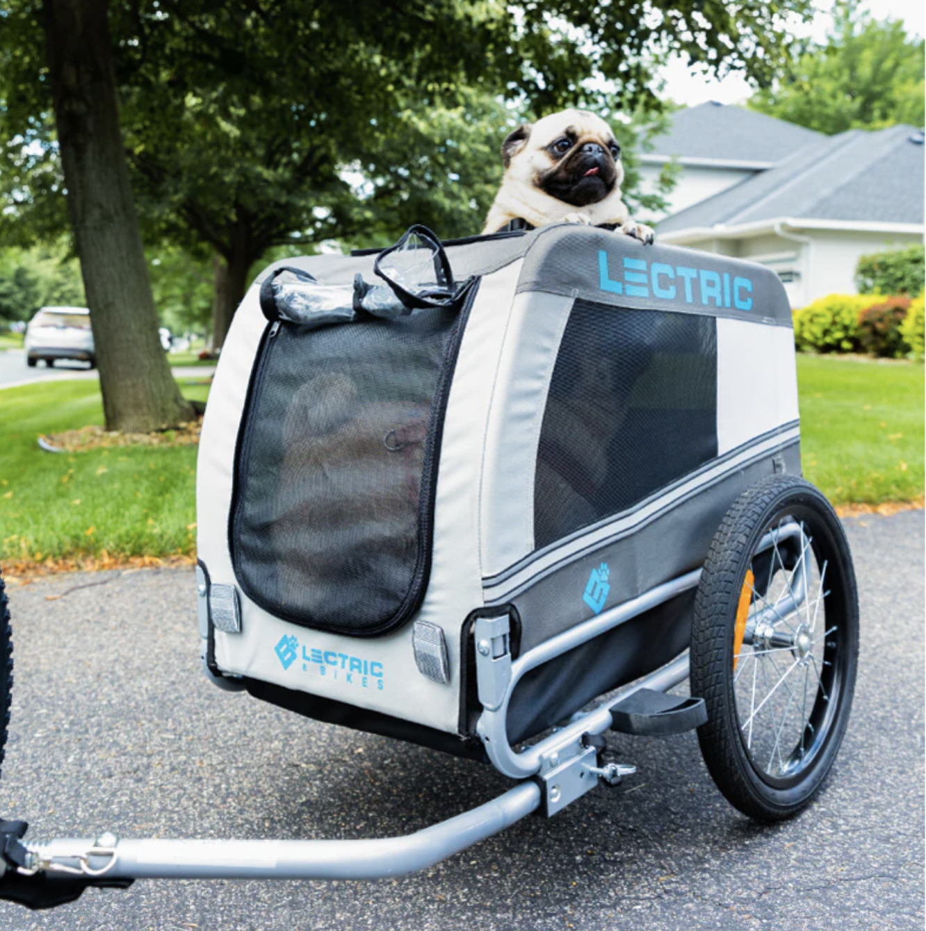 Small Dog Best Pet Trailer For Bike Bicycle Pet Trailer For Small