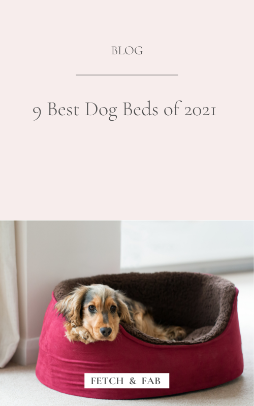 fetch dog beds
