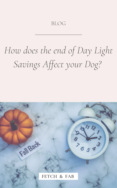 How does the end of Daylight Savings Effect your Dog?