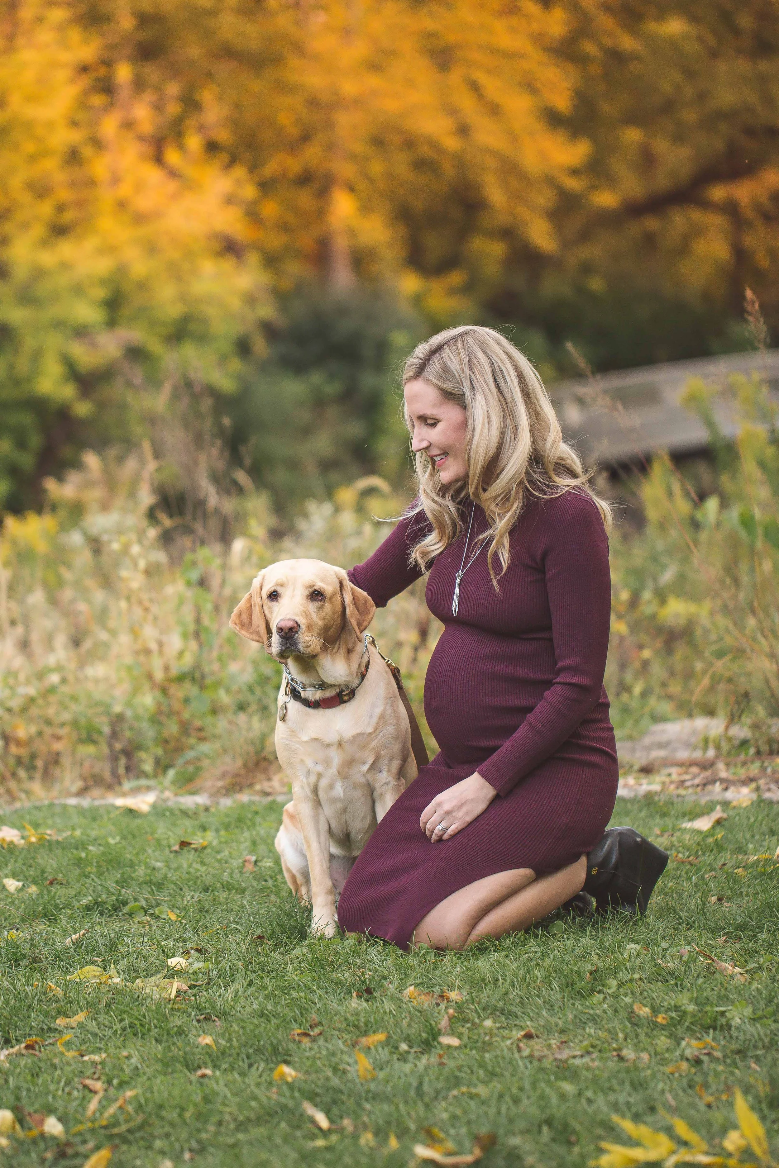 Photo of expecting mom and dog at a maternity photo shoot with Heidi Aubin, maternity photographer in Naperville, IL.