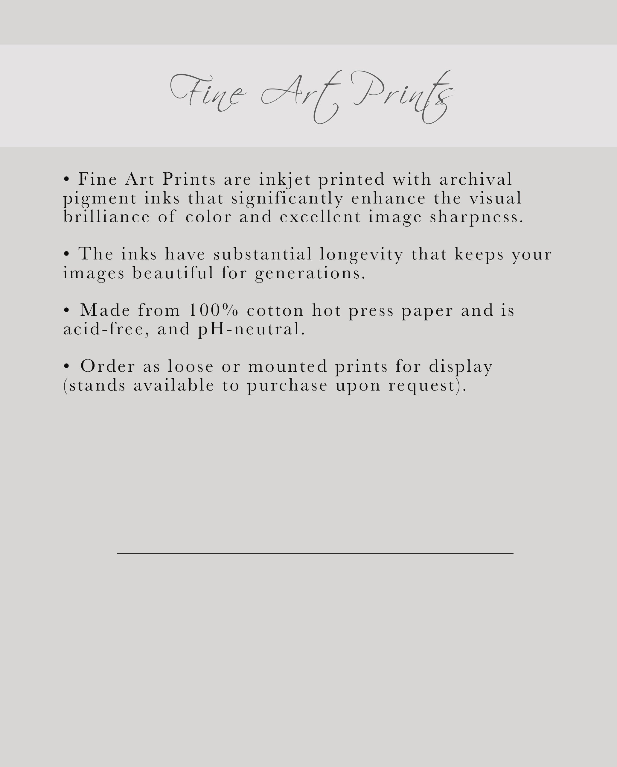 30_Fine Art Prints_no prices copy.jpg