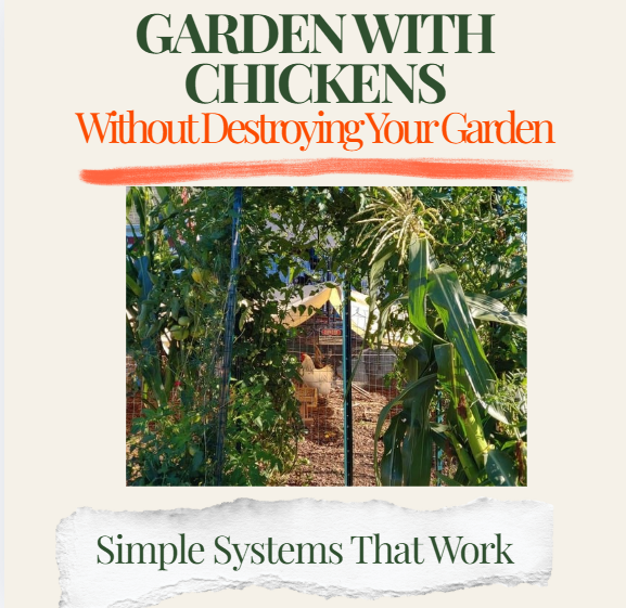 Screenshot 2026-03-30 075352.png