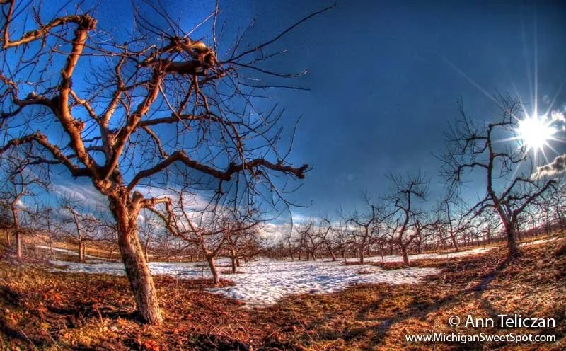 Now is a Great Time to…