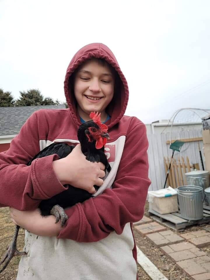Poultry Petting