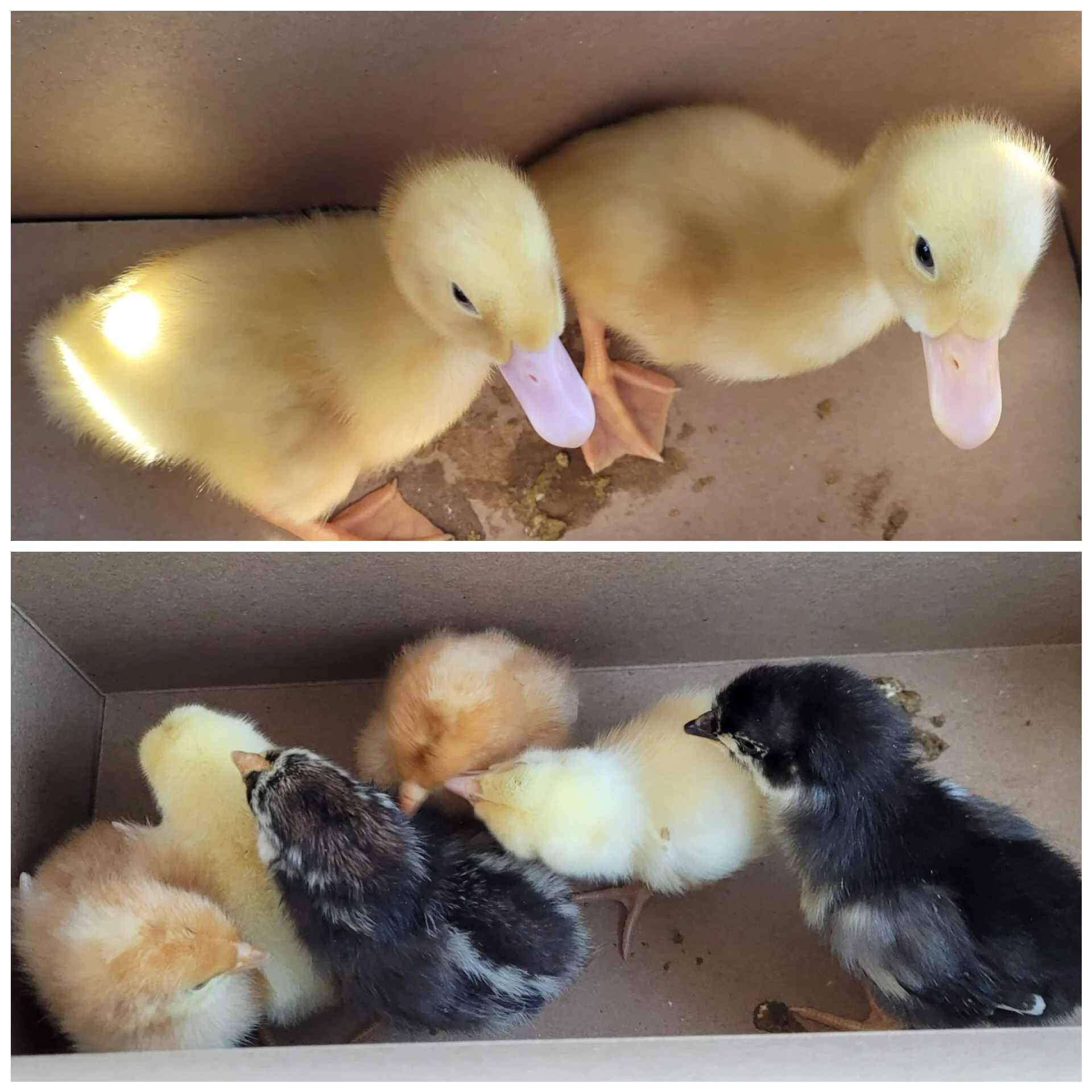 It's a dangerous place.