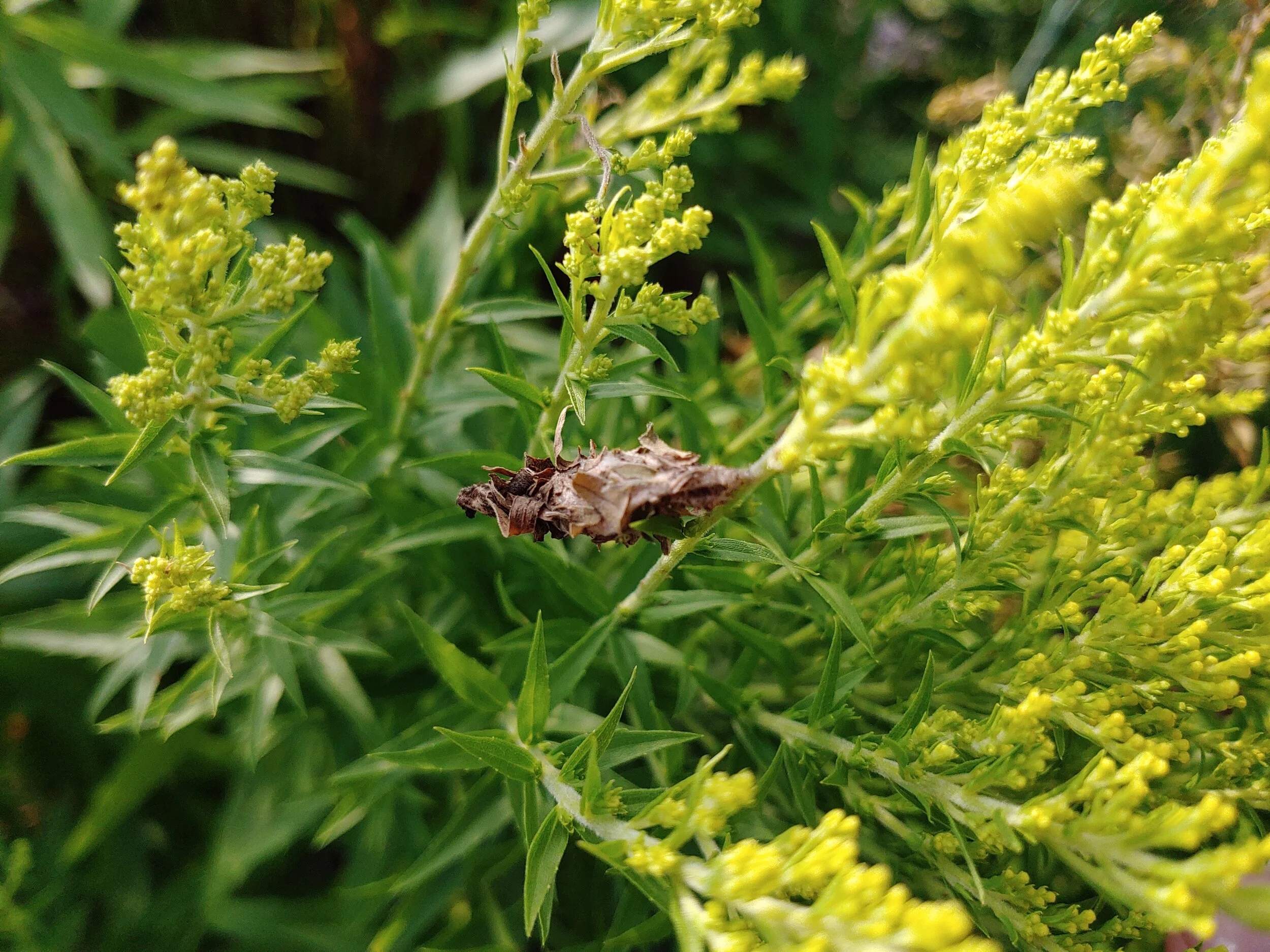 The Dark Side of Gardening