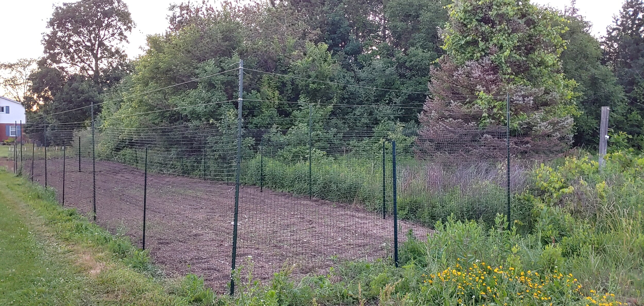 20210614_212224_HDR p.jpg