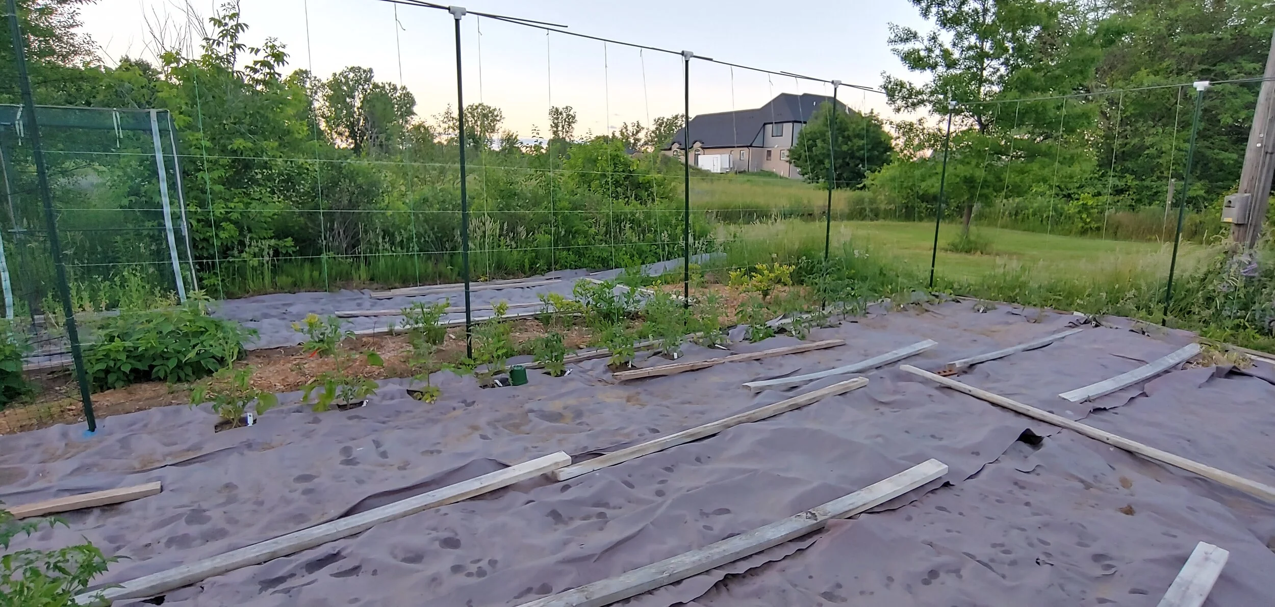 20210614_210320_HDR p.jpg