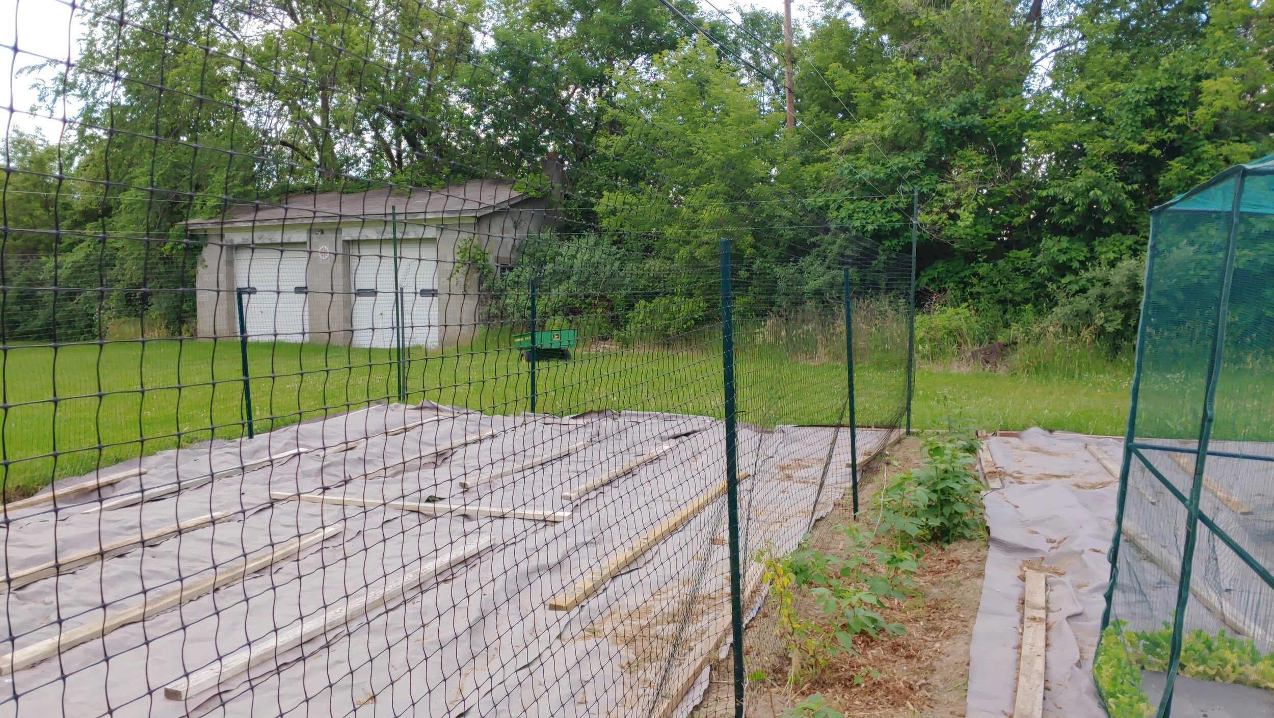 Protect What You Value