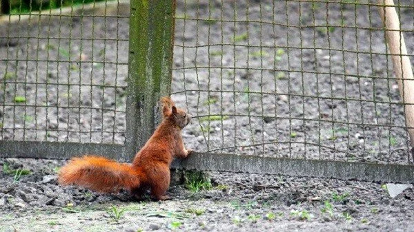 R.91193036ea3ad2c9fc89bfd8fd34a226