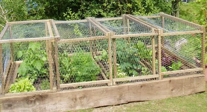 R.d13c7ac75653a42475e1632d753ff710