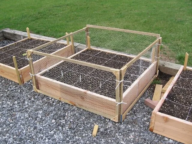 527213a1804f66c9076d05d963bc8c4c--fenced-garden-garden-fences.jpg