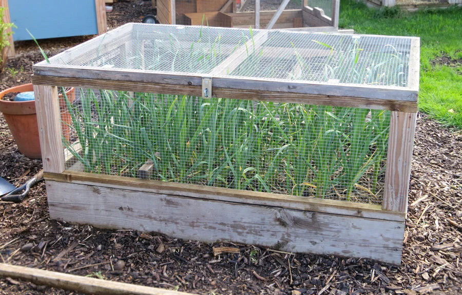 R.8e9134da45383515b16603ebcabe8c75