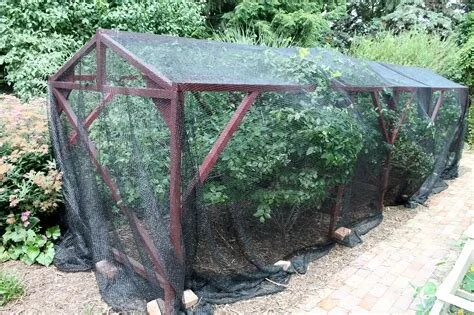 OIP.CwoEQ6gqPfa7sKbrKYaOaQHaE7