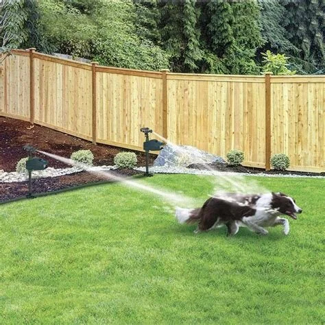 OIP._UZOcnmp6_OVTEj0gURcigHaHa