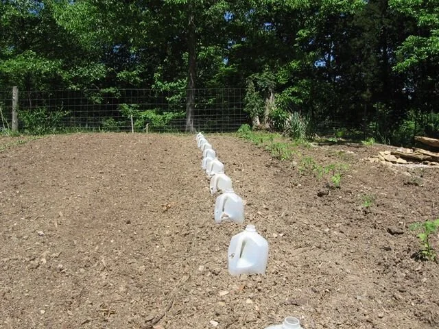 R.f1a29b829cbfcab40f91d9a576cd76a5