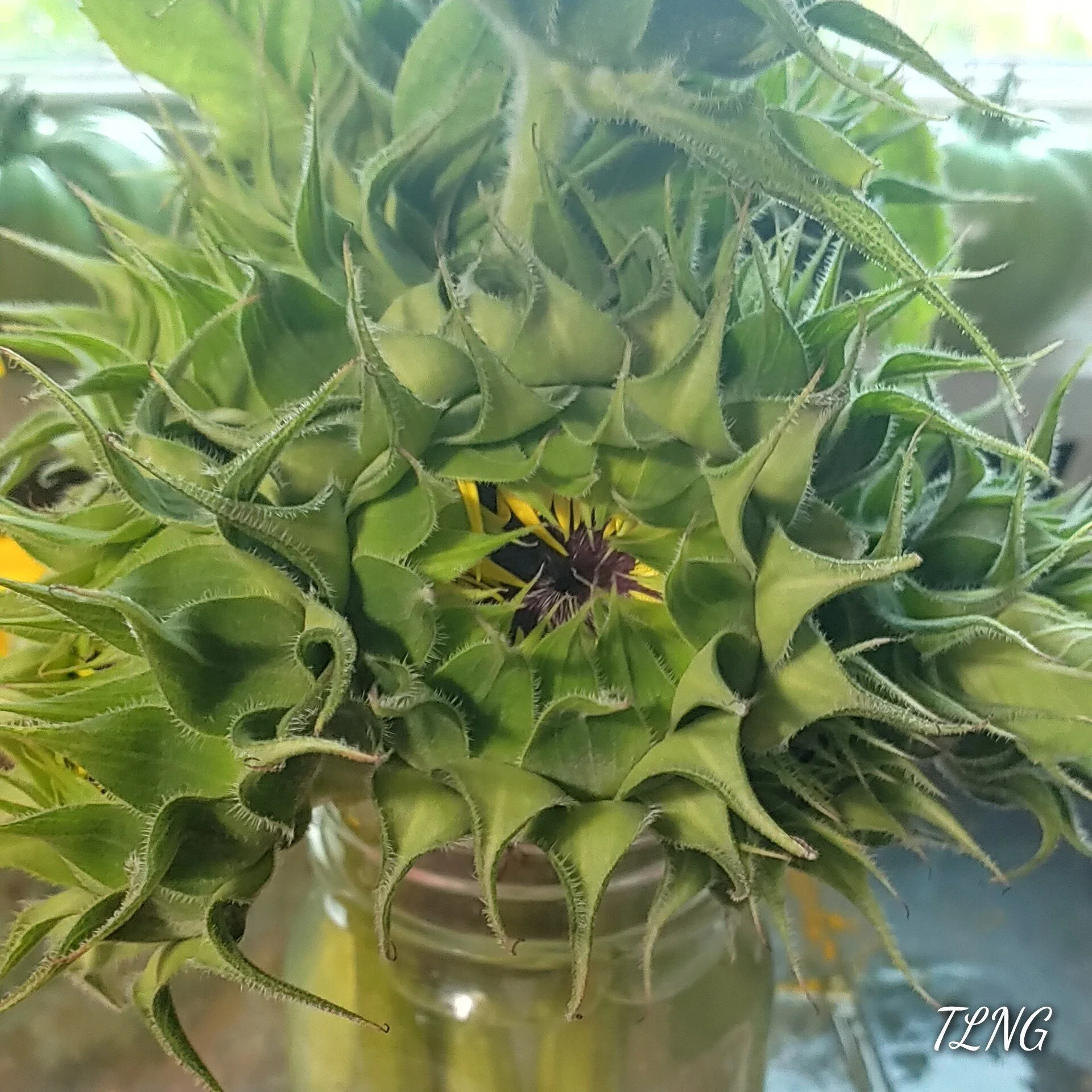 20210817_072018_HDR~2_Signature.jpg