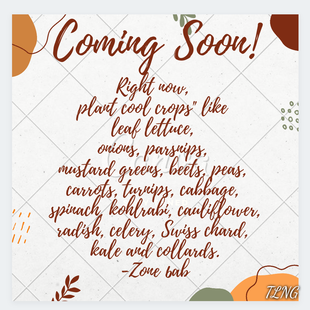 Fall Garden, Finally!