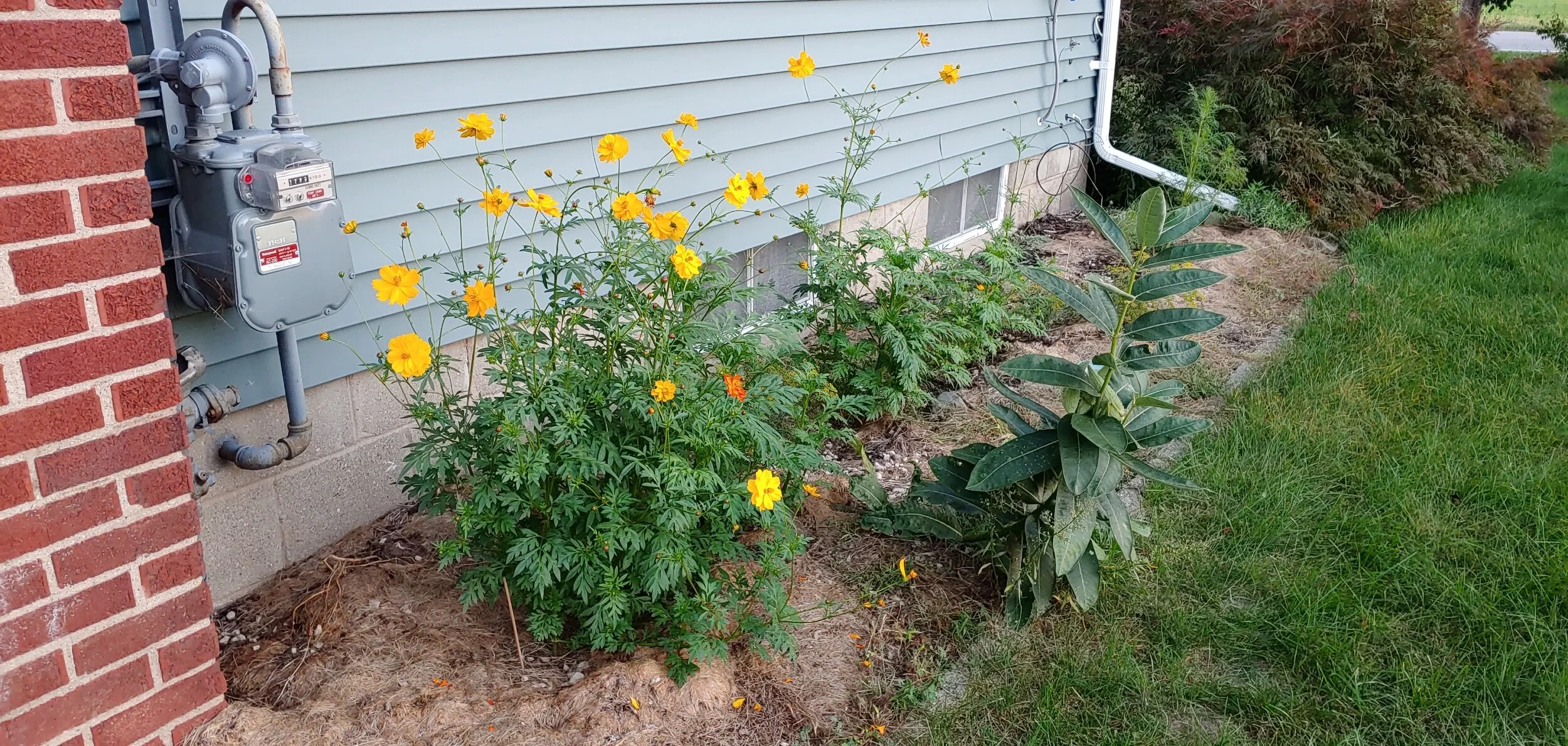 Lazy, Easy Receding Heirline