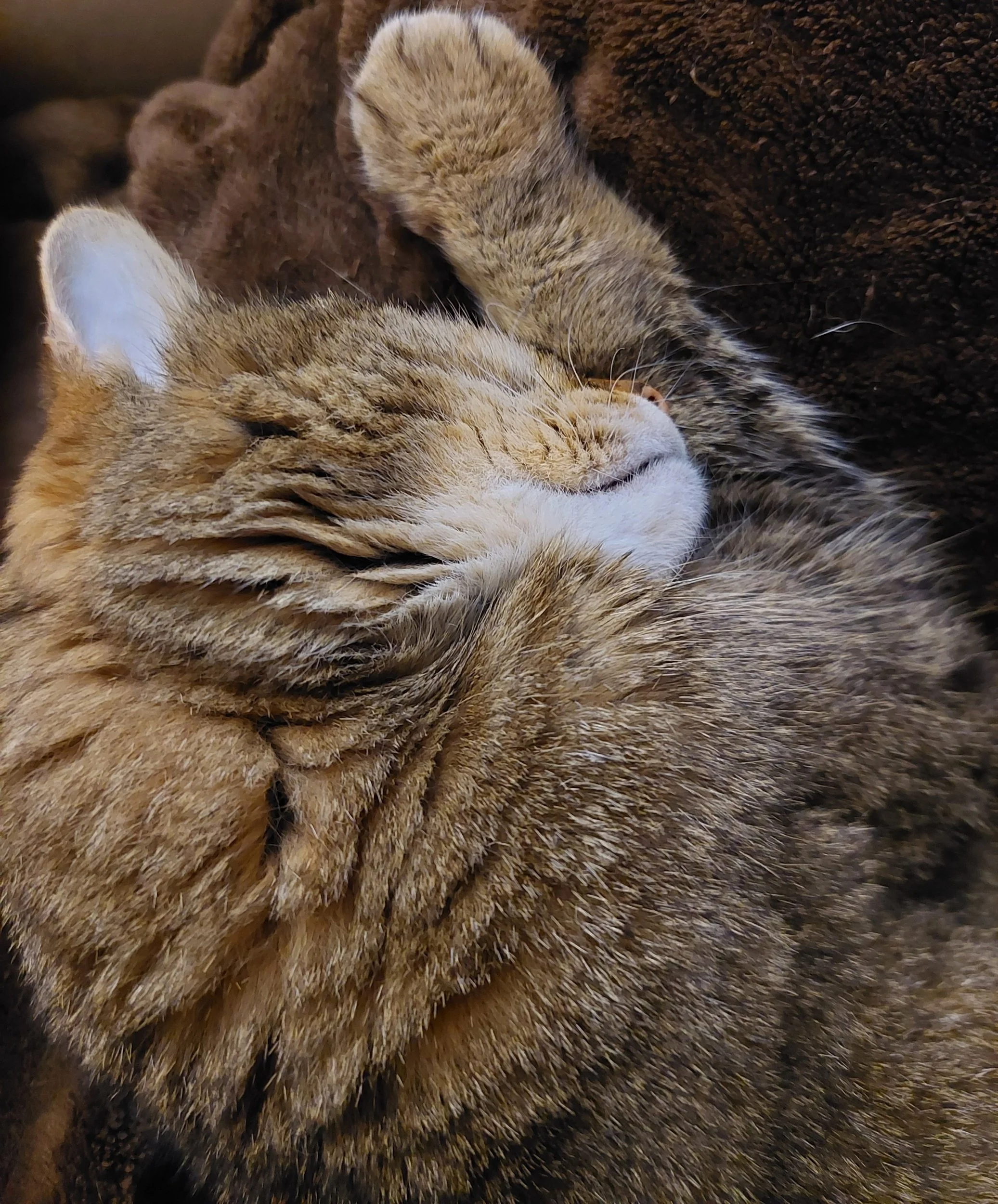 processed_-kxrjtk.jpg